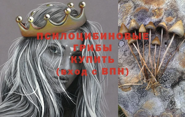 ПСИЛОЦИБИНОВЫЕ ГРИБЫ Абдулино